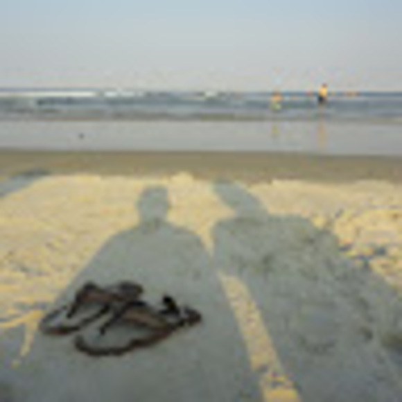 Meet your Posher, Molly - Picture 1 of 1